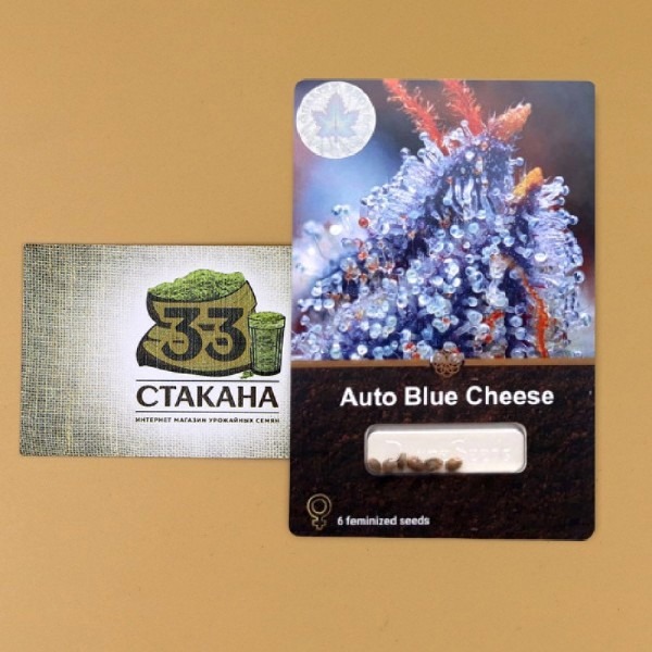 Auto Blue Cheese photo
