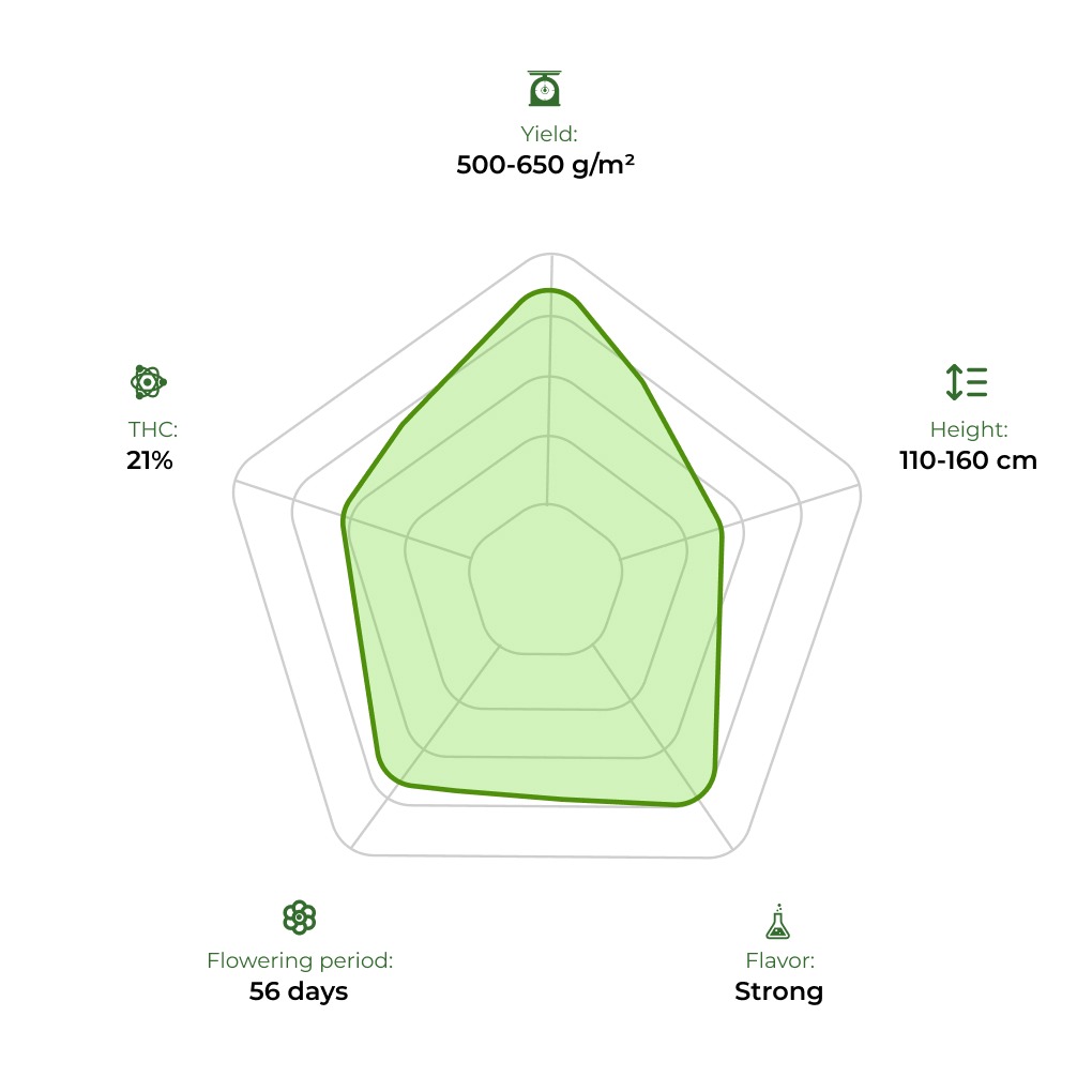 Auto Blue Cheese technology radar 33stakana.jpg