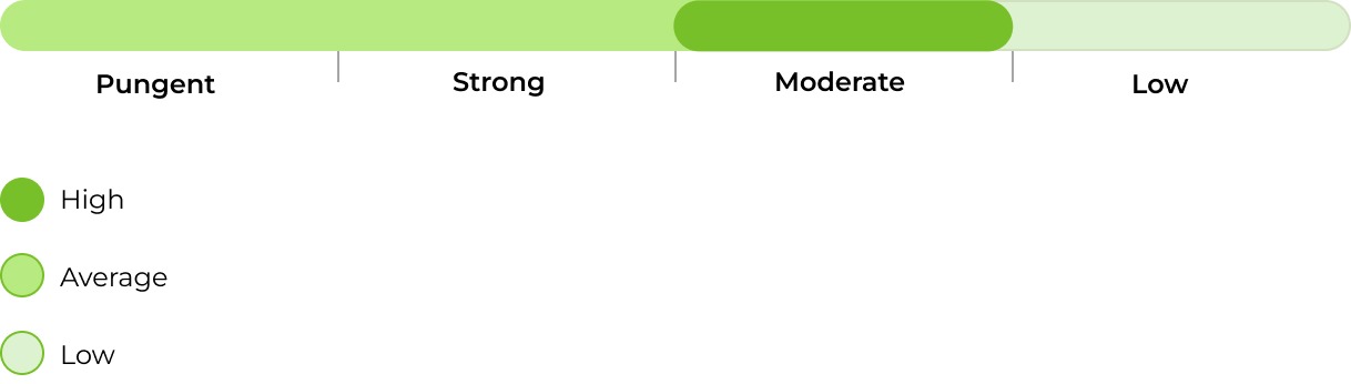 Auto Blueberry bulk smell 33stakana