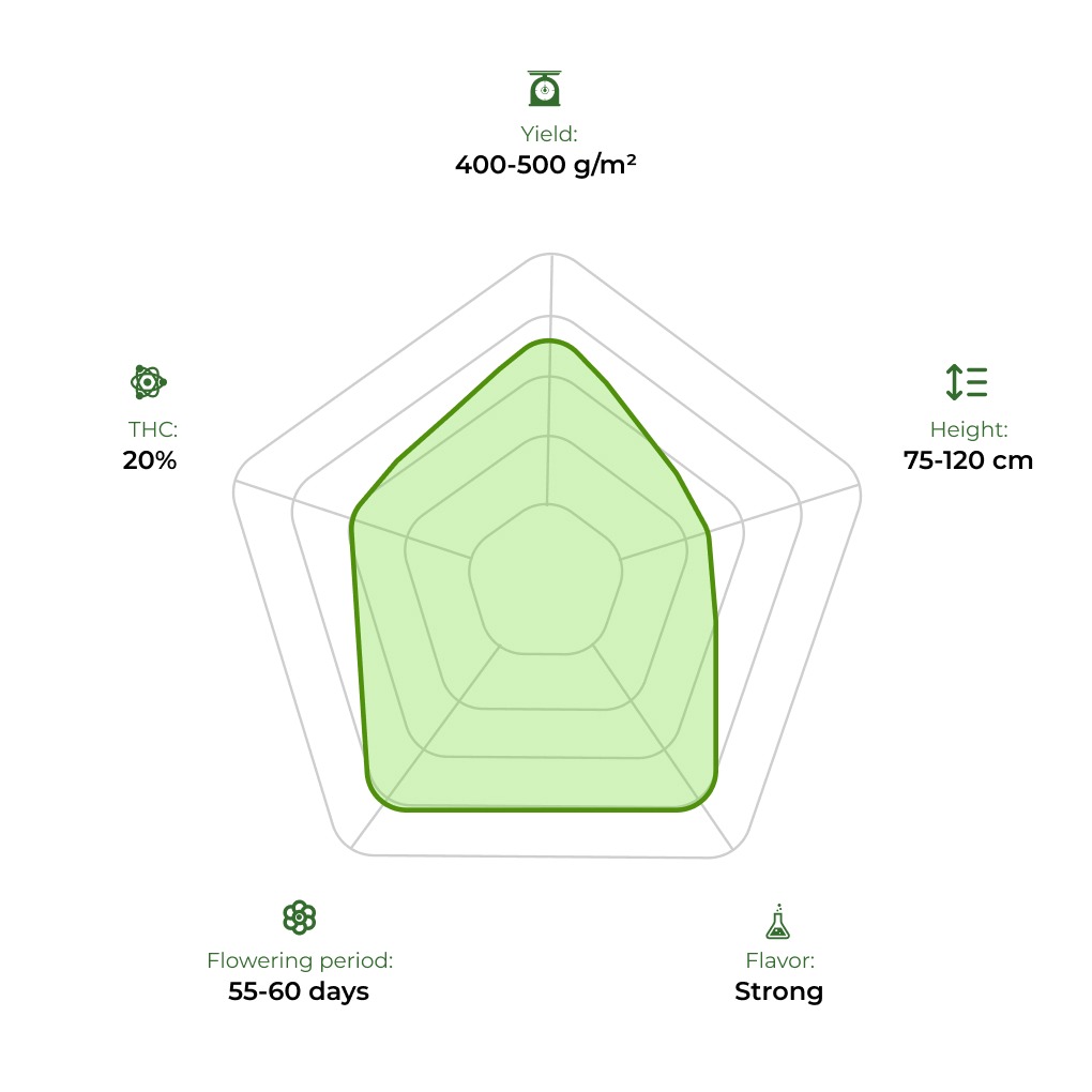 Auto Bruce Lemon Diesel technology radar 33stakana