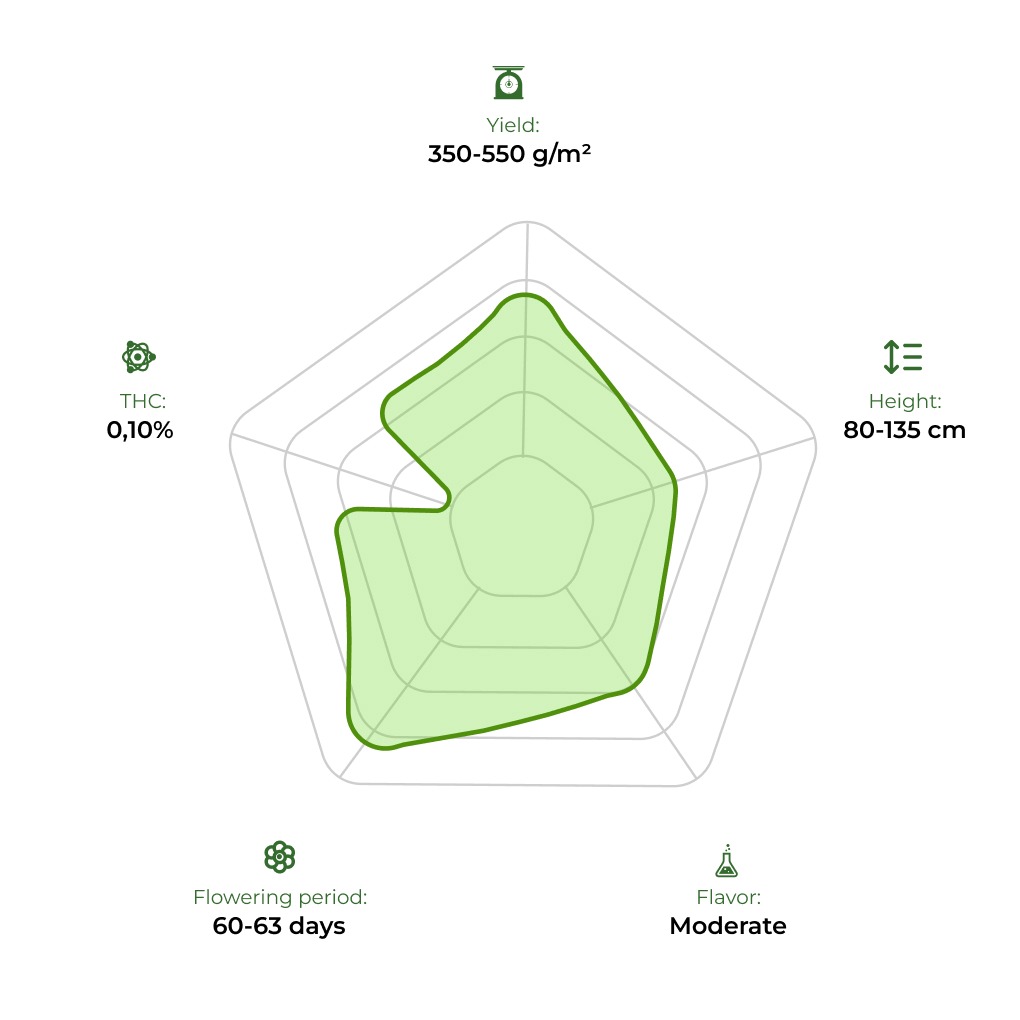 Auto CBD Angel technology radar 33 stakana