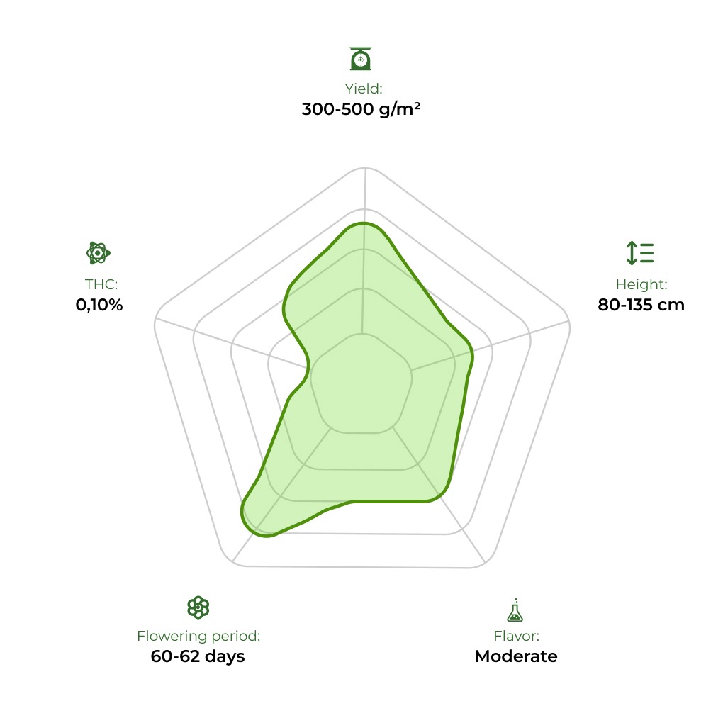 Auto CBD Monster technology radar 33stakana