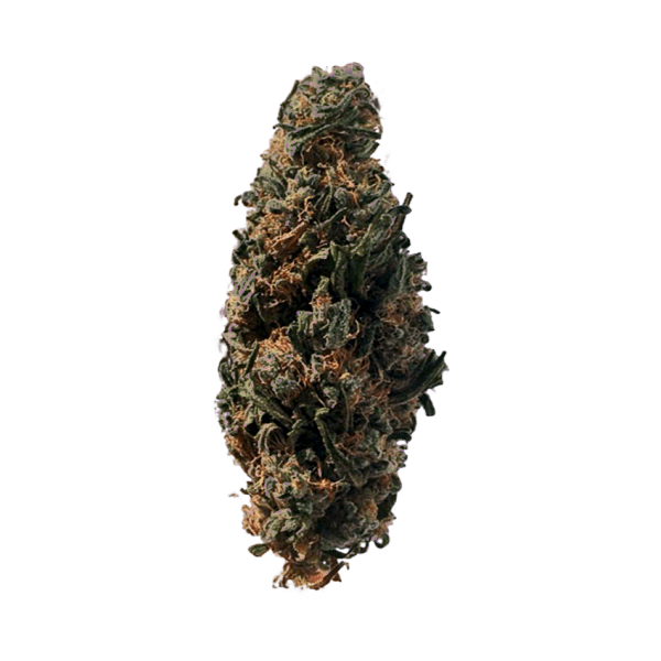 Авто Кабул от Divine Seeds