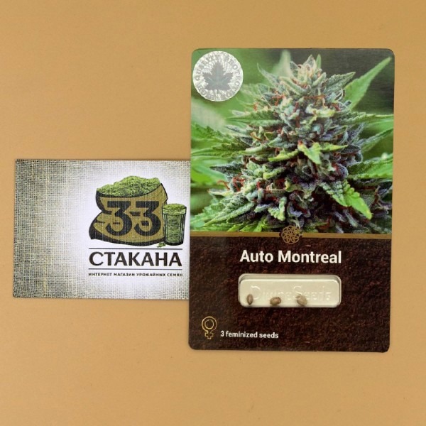 cannabis Auto Montreal