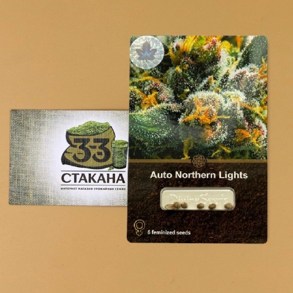 cannabis Auto Northern Lights