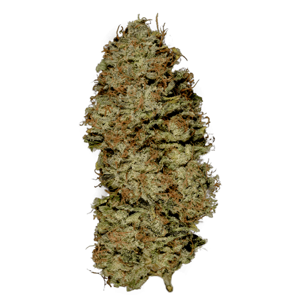 фото сорта марихуаны Auto Opium