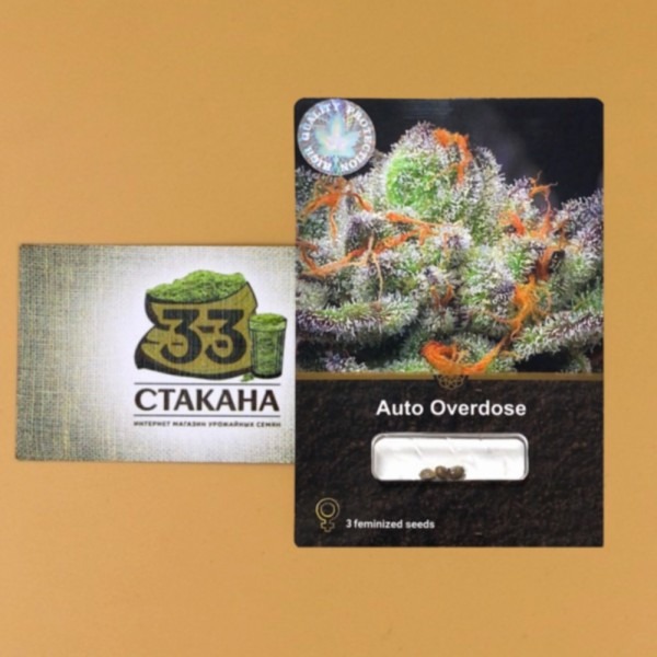 hemp seed variety Auto Overdose