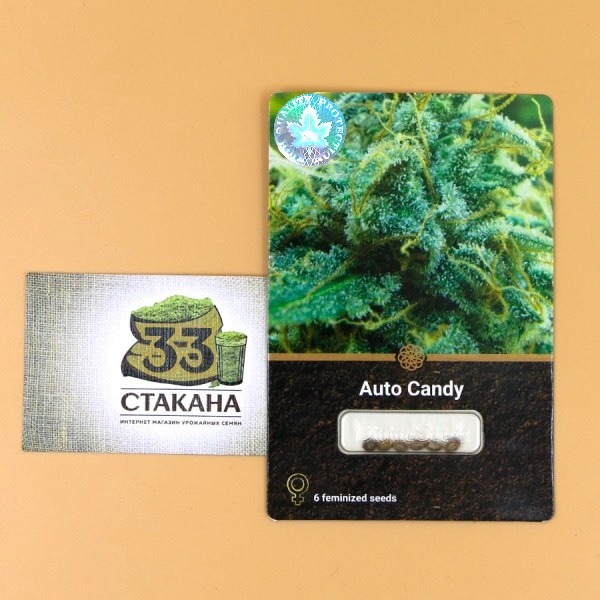 Auto Candy от магазина 33stakana