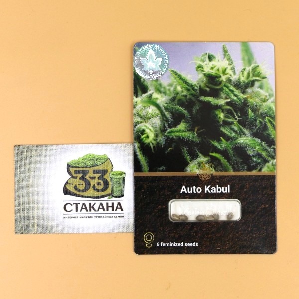 Авто Кабул от магазина 33stakana