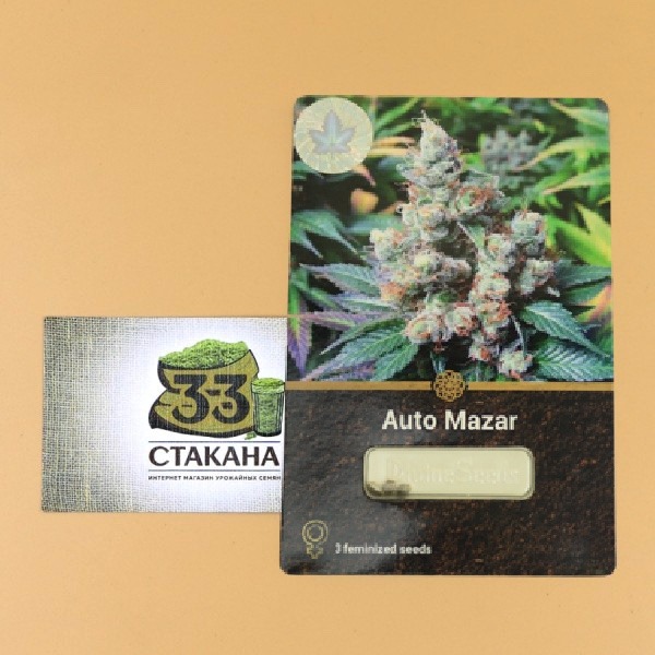 Auto Mazar 33stakana