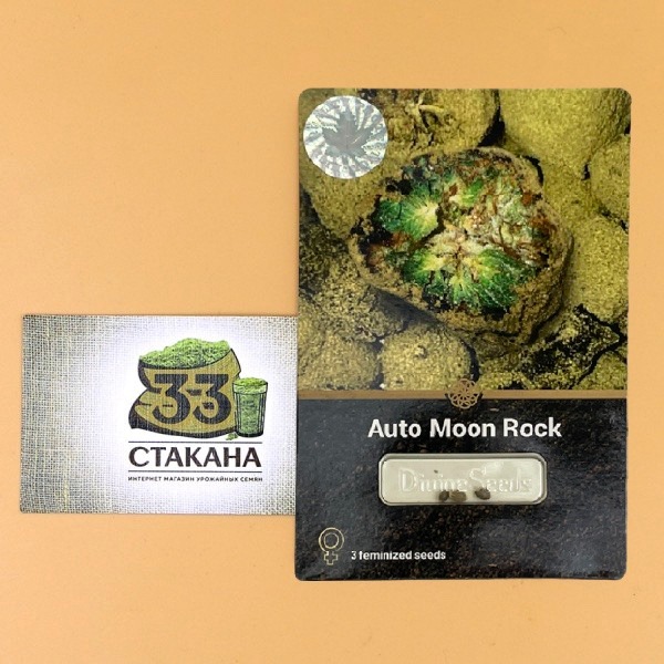 Auto Moon Rock photo
