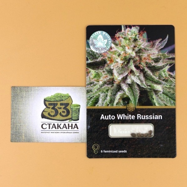 Авто Вайт Рашн купити