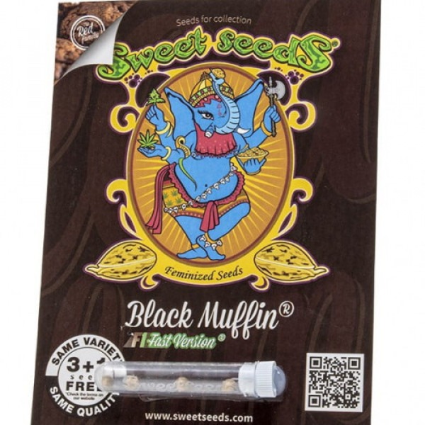 Black Muffin F1 Fast Version photo