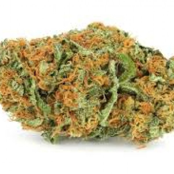 cannabis Russian Snow