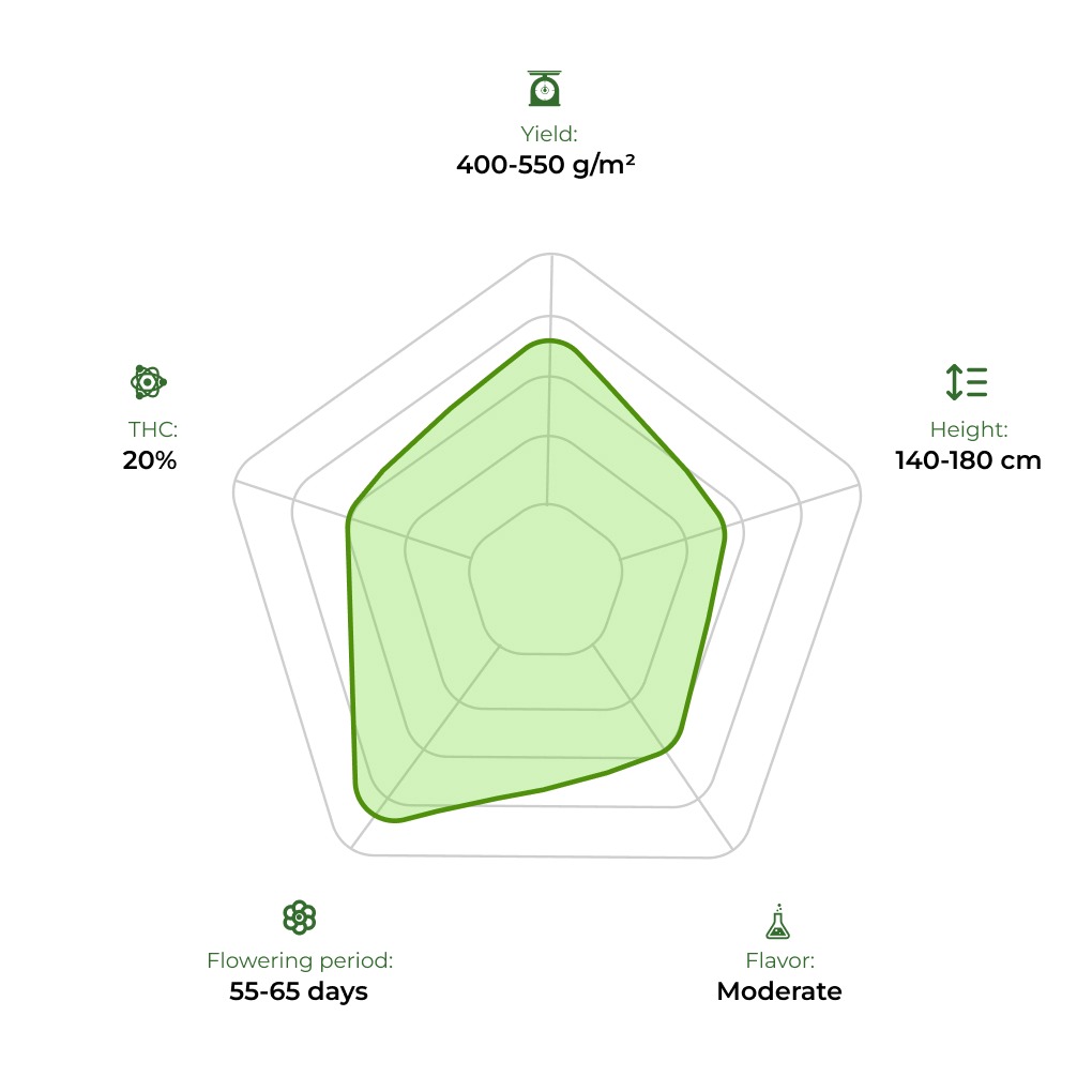Candy technology radar 33stakana