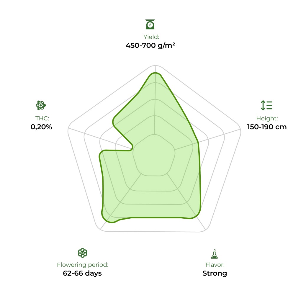 CBD Angel technology radar 33 stakana