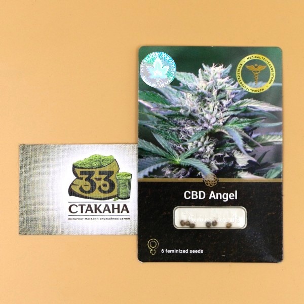 buy CBD Angel
