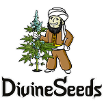 Divine Seeds 33stakana