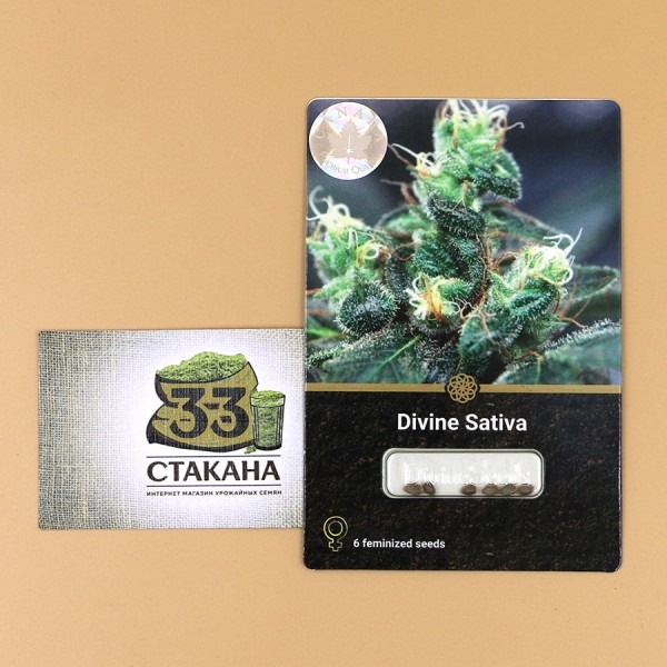 Divine Sativa 33stakana