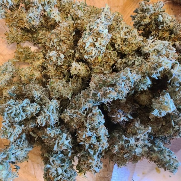 buy Grand Daddy Purple