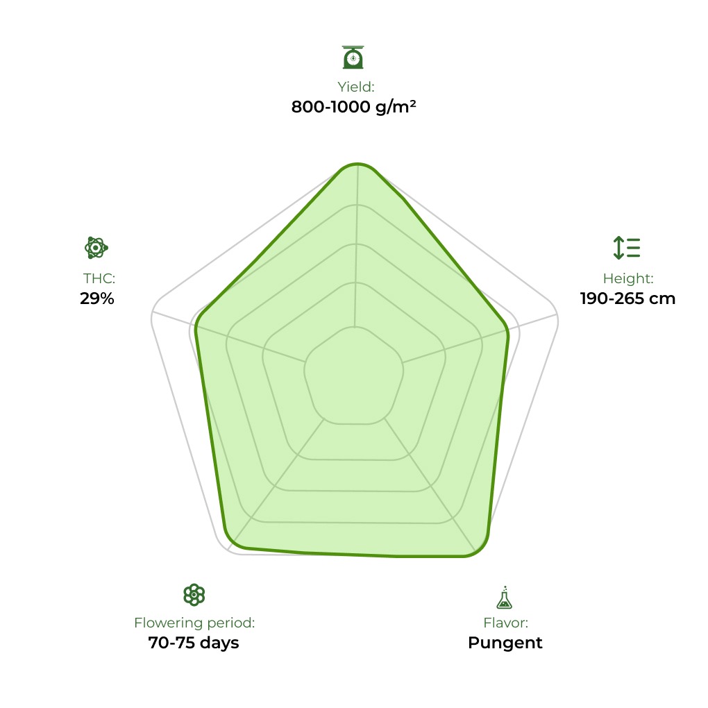 John Weed technology radar 33stakana