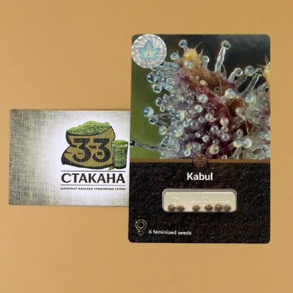 Кабул от магазина 33стакана