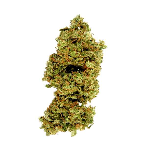 cannabis Auto Kali Mist Fem