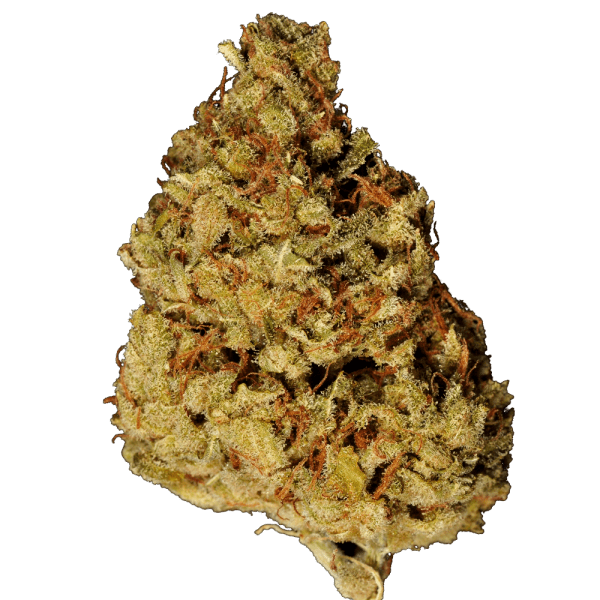 cannabis Lowryder 2 Feminised