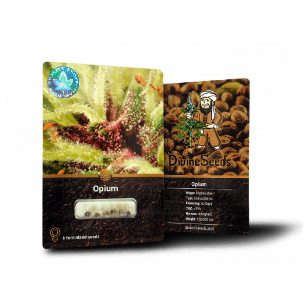 Opium Feminised 33stakana