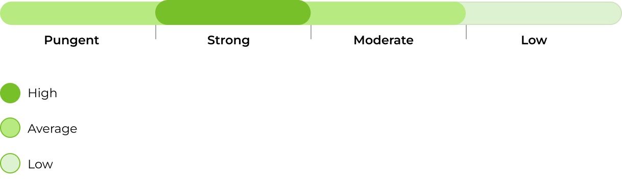 Pablo Escobar smell 33stakana