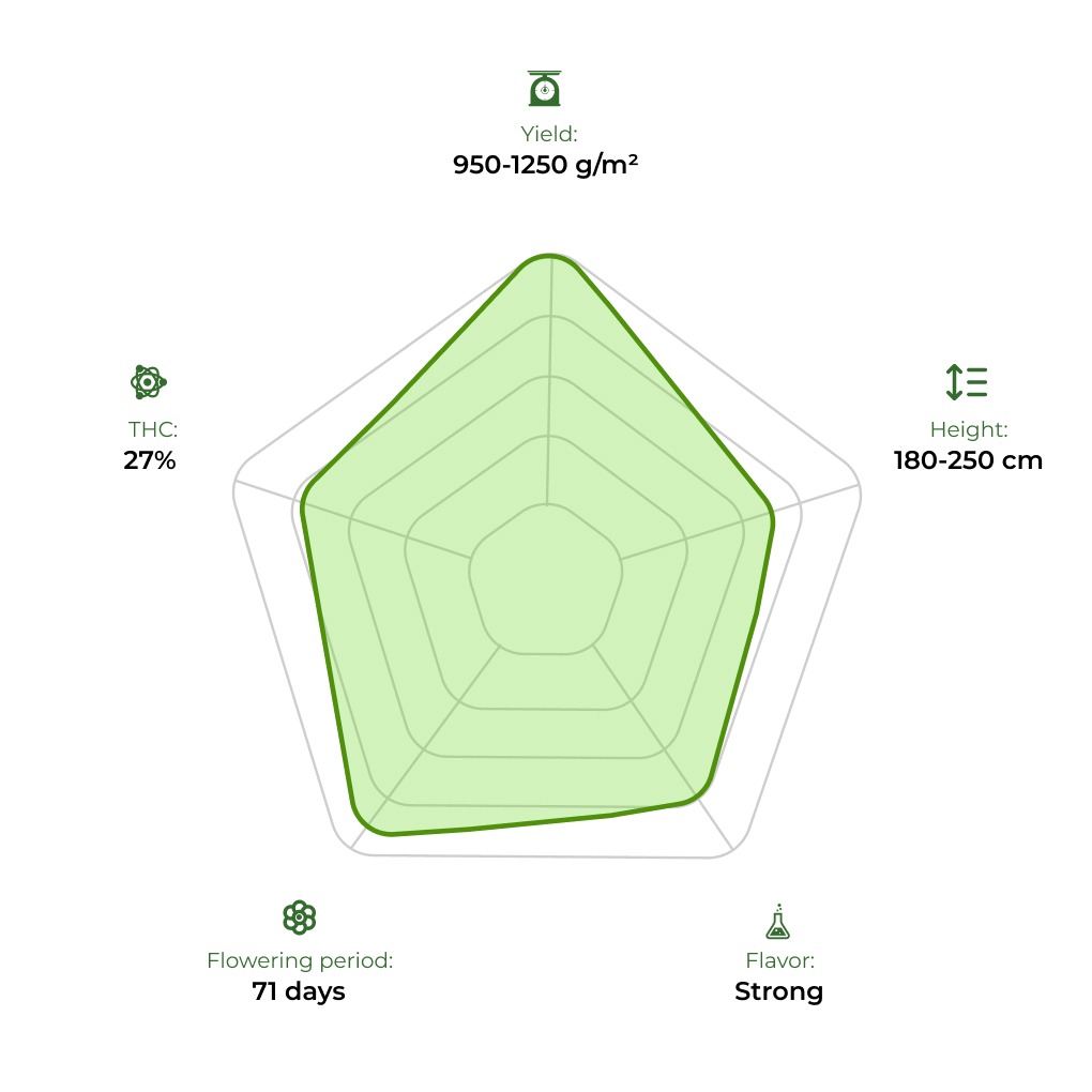 Pablo Escobar technology radar 33stakana