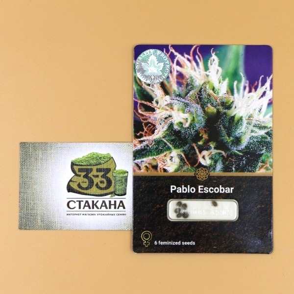 Pablo Escobar store 33stakana