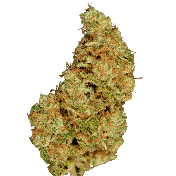 Pablo Escobar Sativa