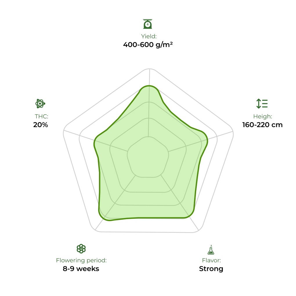 Psicodelicia technology radar 33stakana