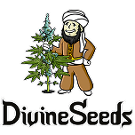 Seedbank Divine Seeds 33stakana