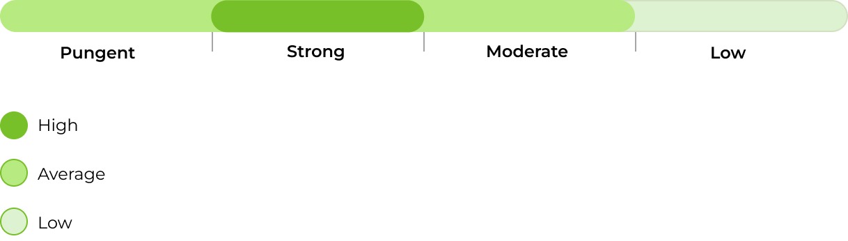 Shaman smell 33stakana