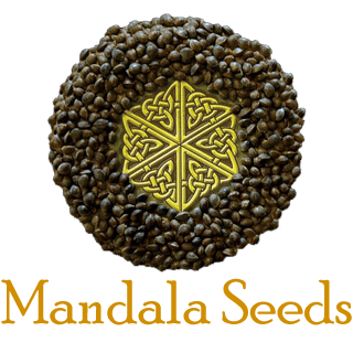 Сідбанк Mandala 33stakana