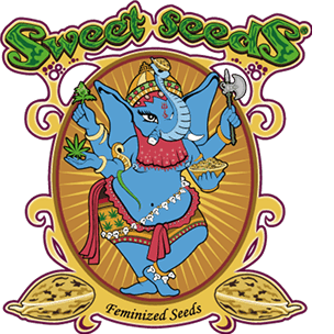 Сидбанк Sweet Seeds 33stakana