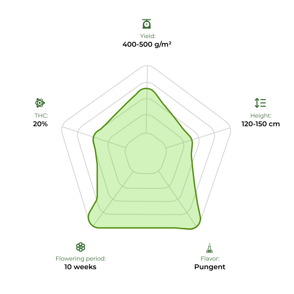 Tangie 420 technology radar 33stakana
