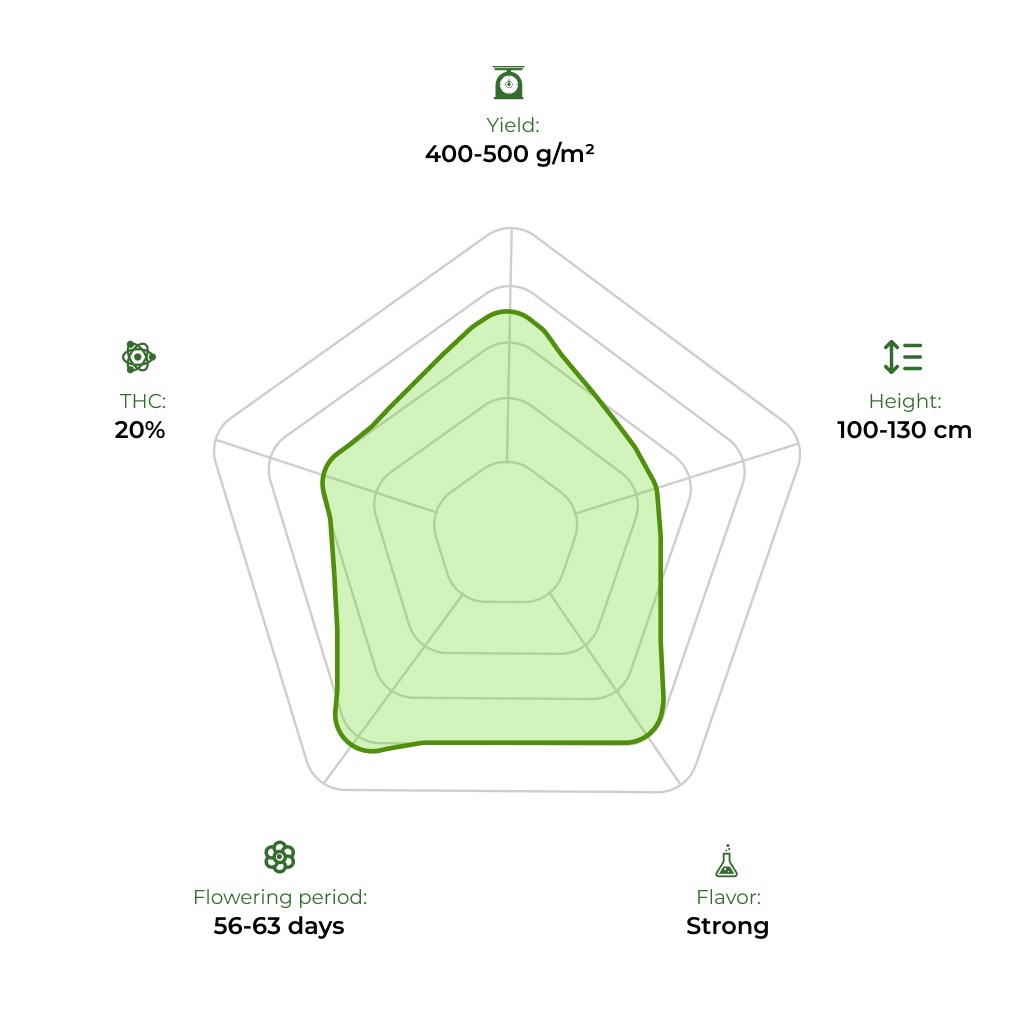 Tangielope technology radar 33stakana