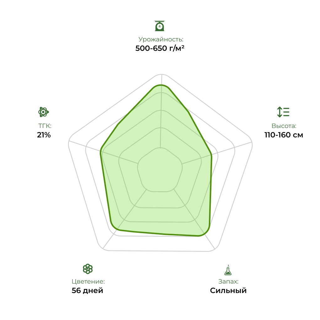 Технологический радар сорта Auto Blue Cheese 33stakana