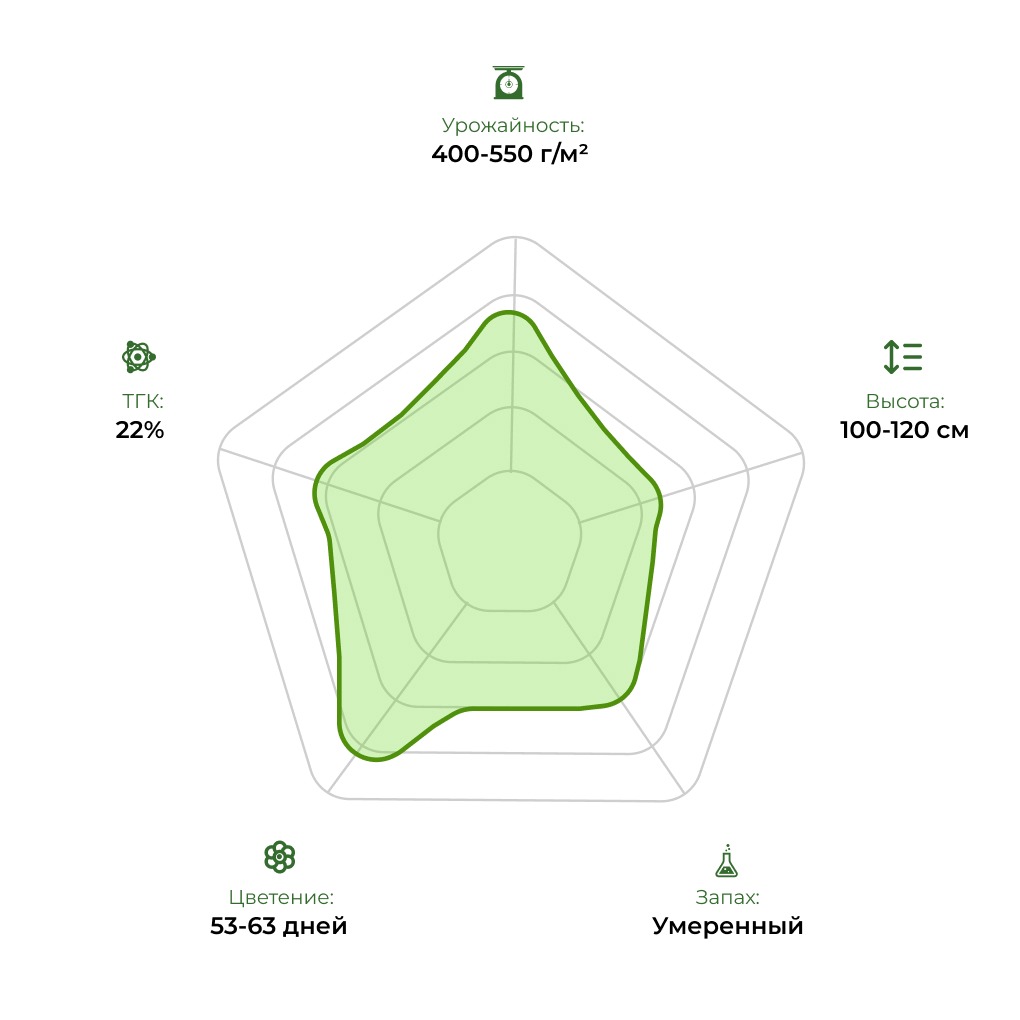 Технологический радар сорта Auto Blueberry bulk 33stakana