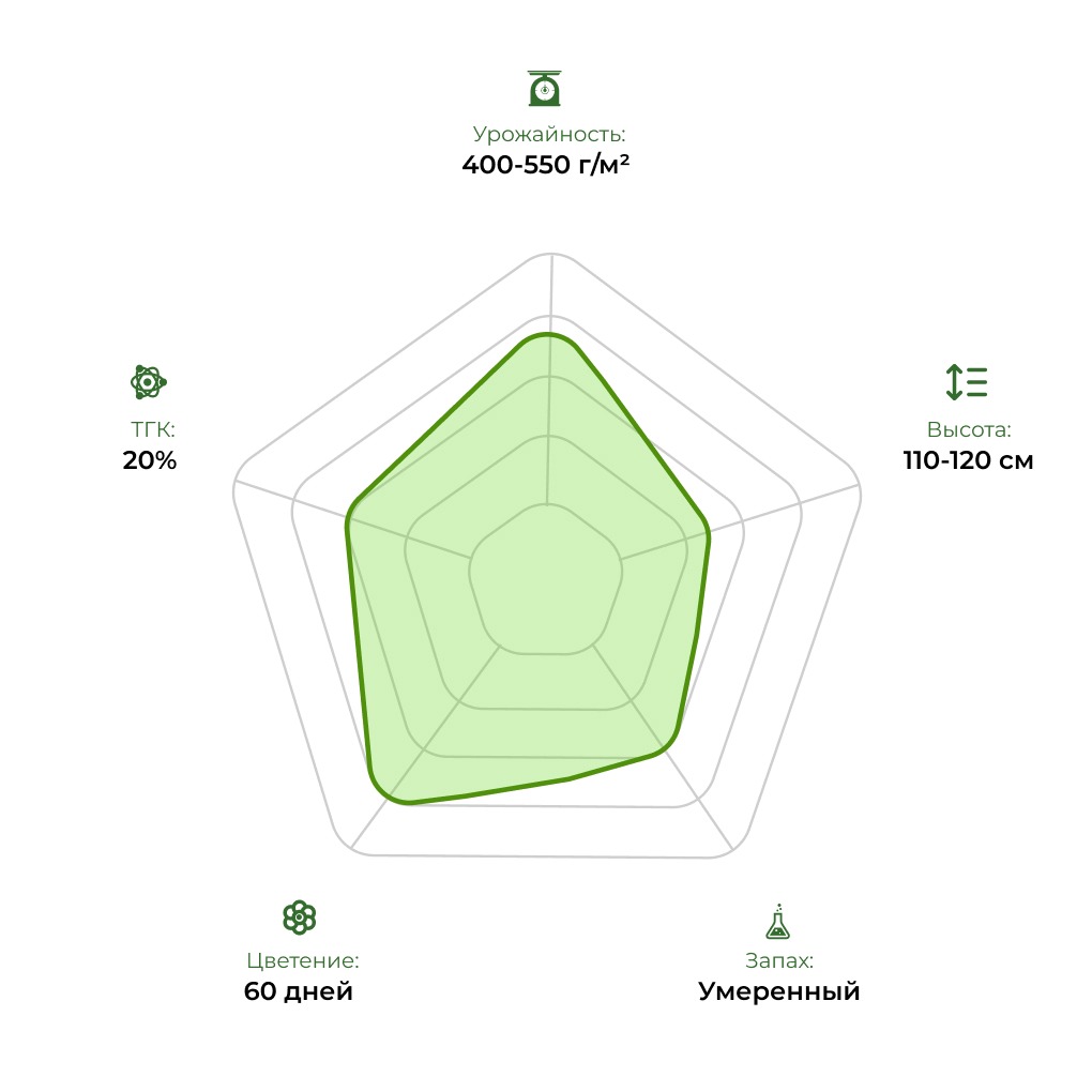 Технологический радар сорта Auto Candy 33stakana