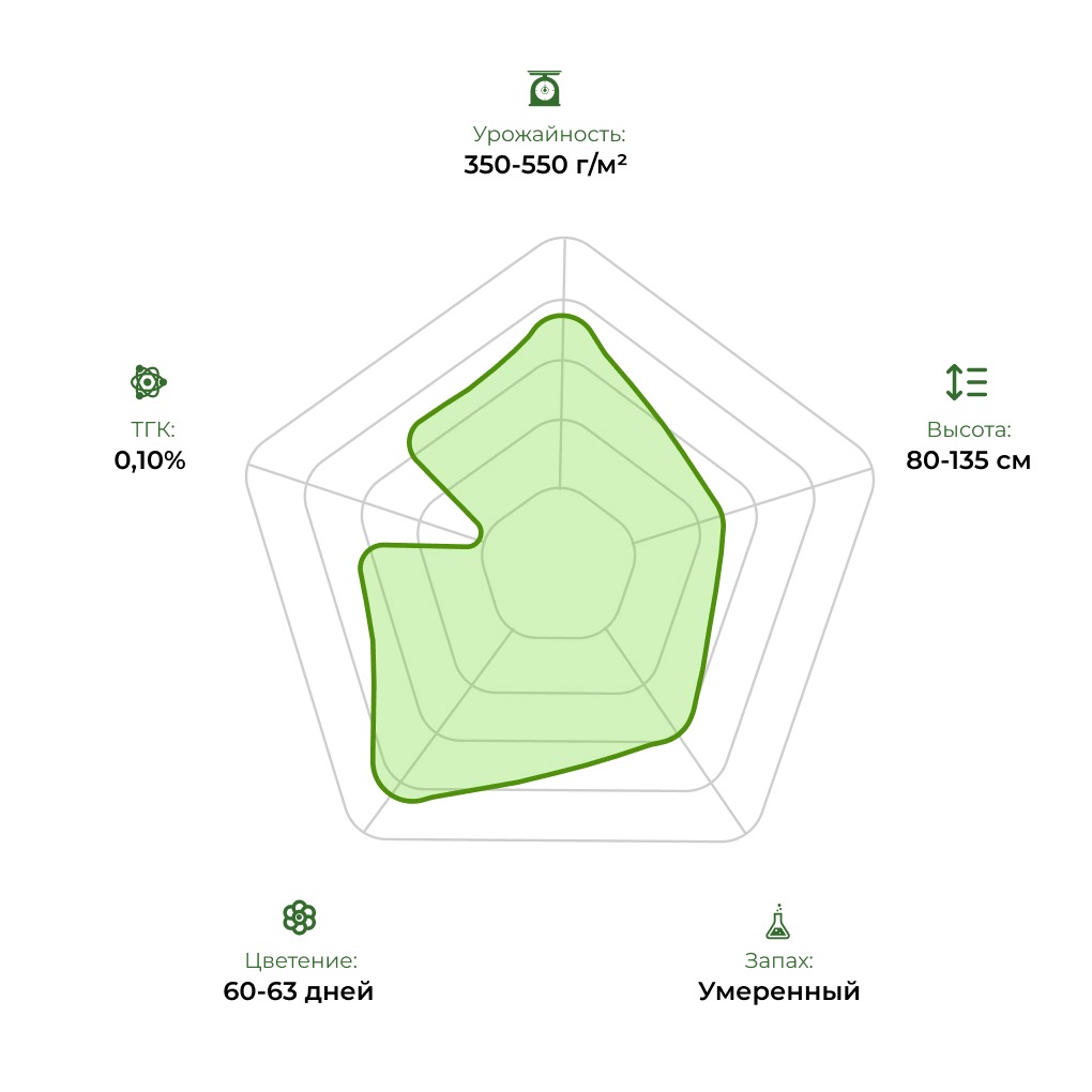 Технологический радар сорта Auto CBD Angel 33 stakana