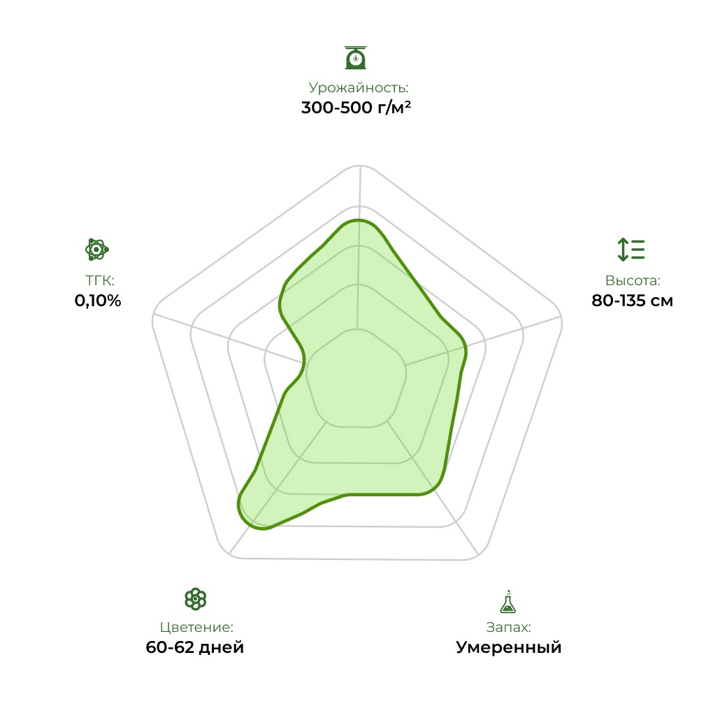 Технологический радар сорта Auto CBD Monster 33stakana