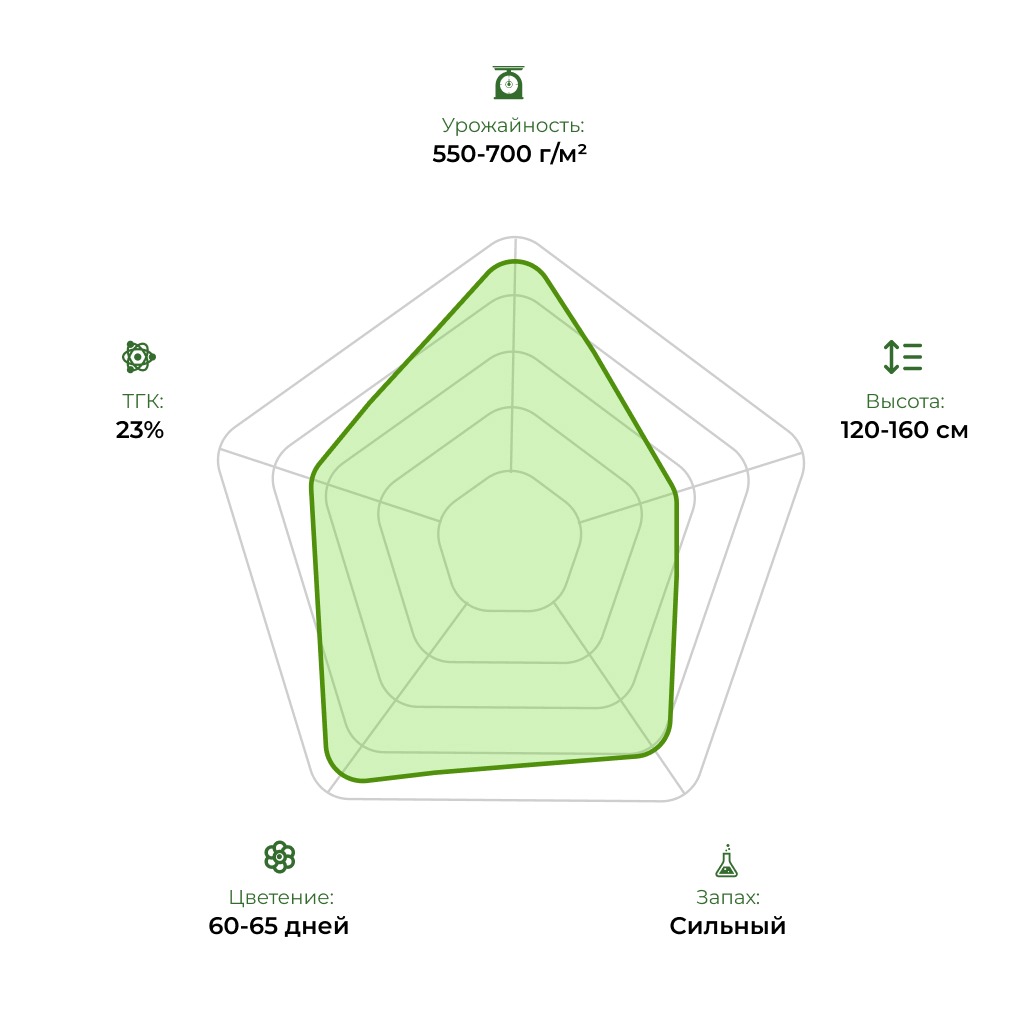 Технологический радар сорта Auto Montreal 33stakana