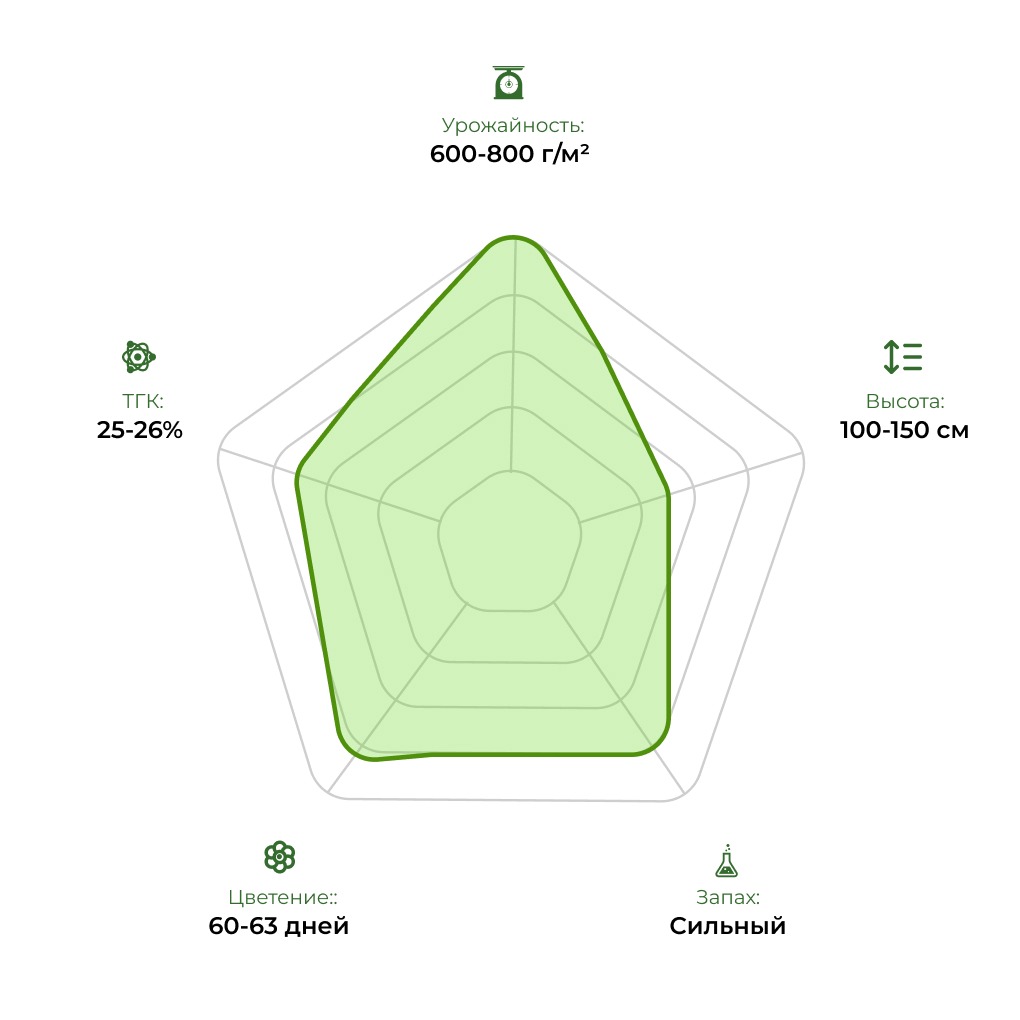 Технологический радар сорта Auto Overdose 33stakana