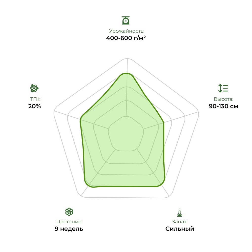 Технологический радар сорта Auto Zkittlez OG 33stakana