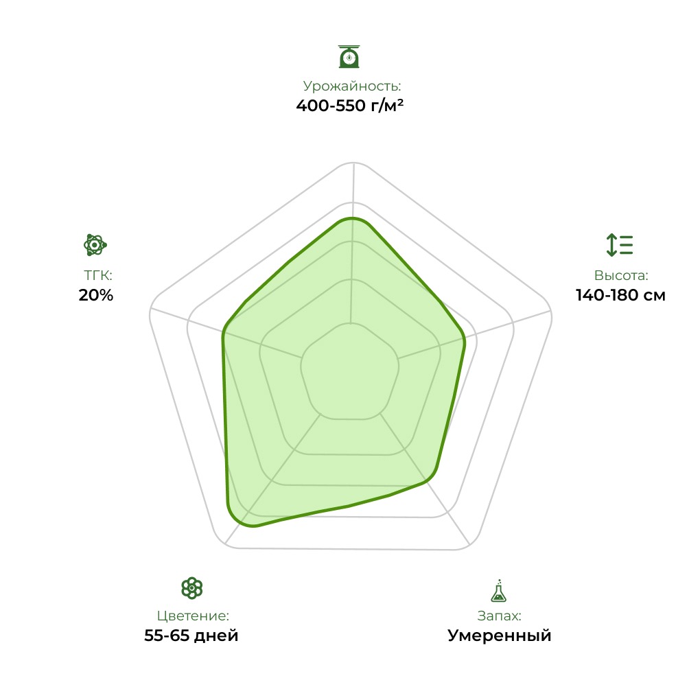 Технологический радар сорта Candy 33stakana