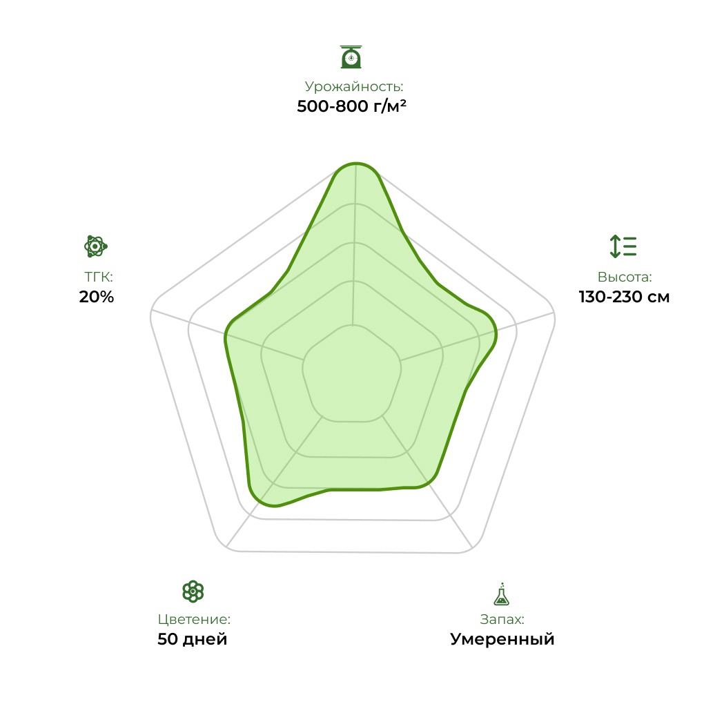 Технологический радар сорта Cream Caramel F1 Fast Version 33stakana